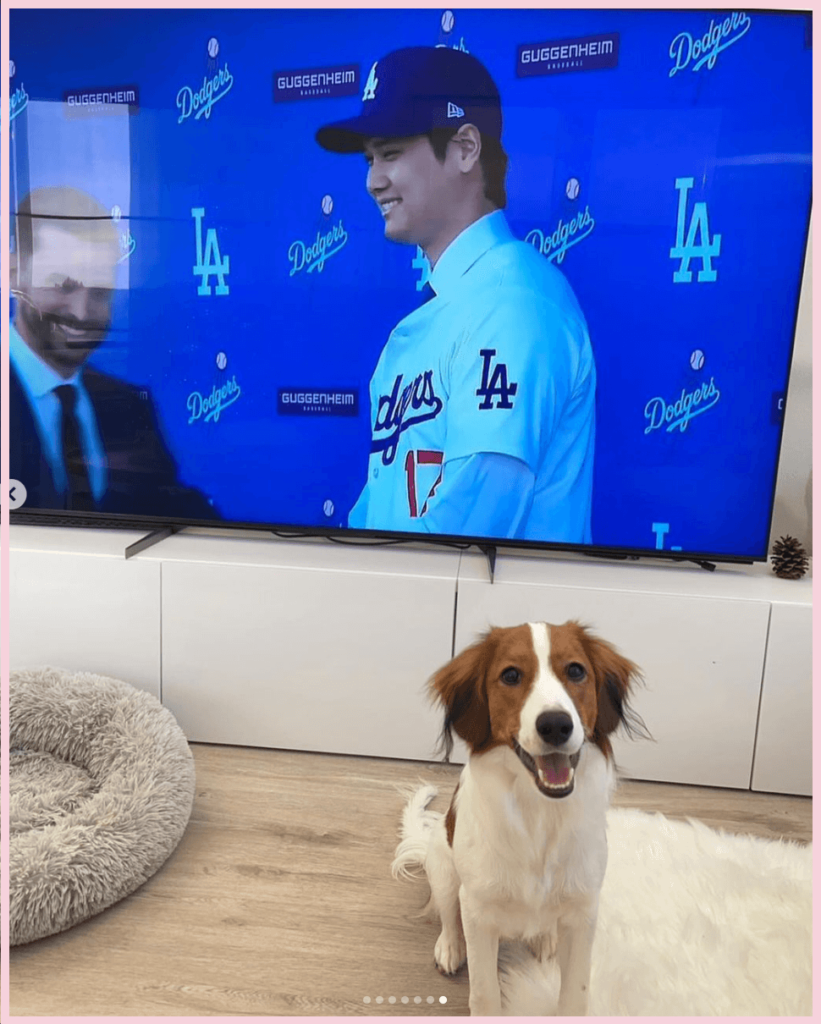 大谷翔平さんの愛犬・デコピンがこちらを見ている画像